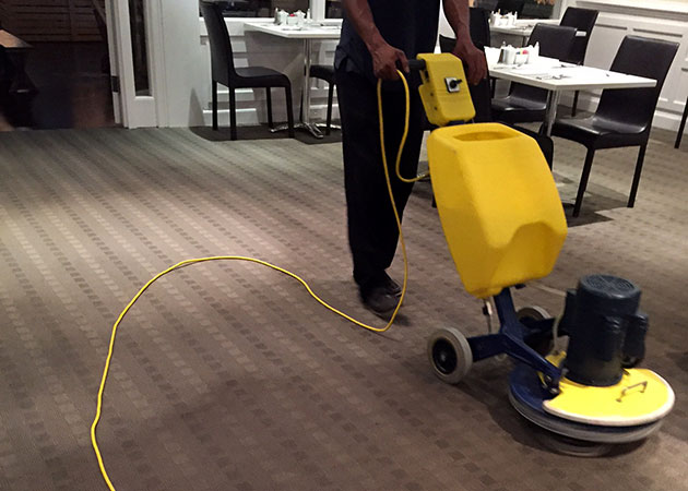 A person cleaning a carpet